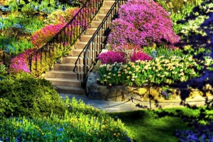 escalera-en-el-jardín_1191434320