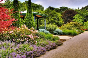 ландшафтный дизайн участка